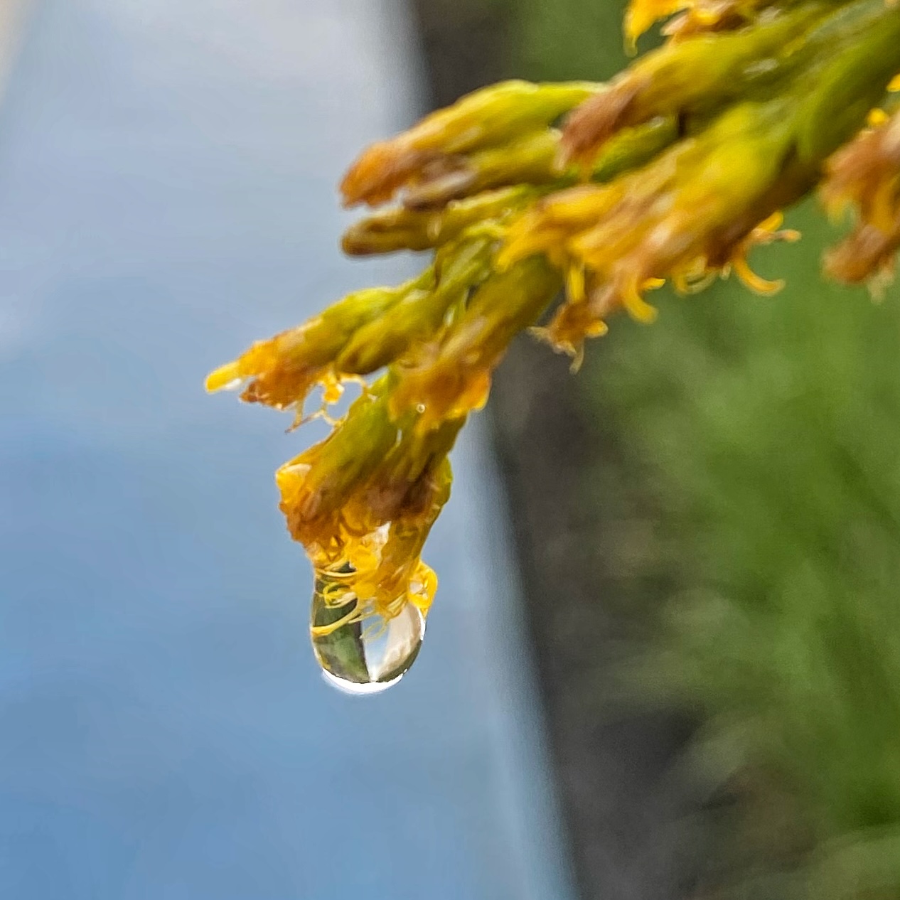 Rainy day photograph by Ethan Cotton